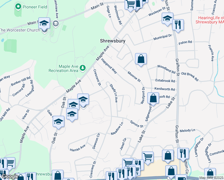map of restaurants, bars, coffee shops, grocery stores, and more near 46 Shady Lane Avenue in Shrewsbury