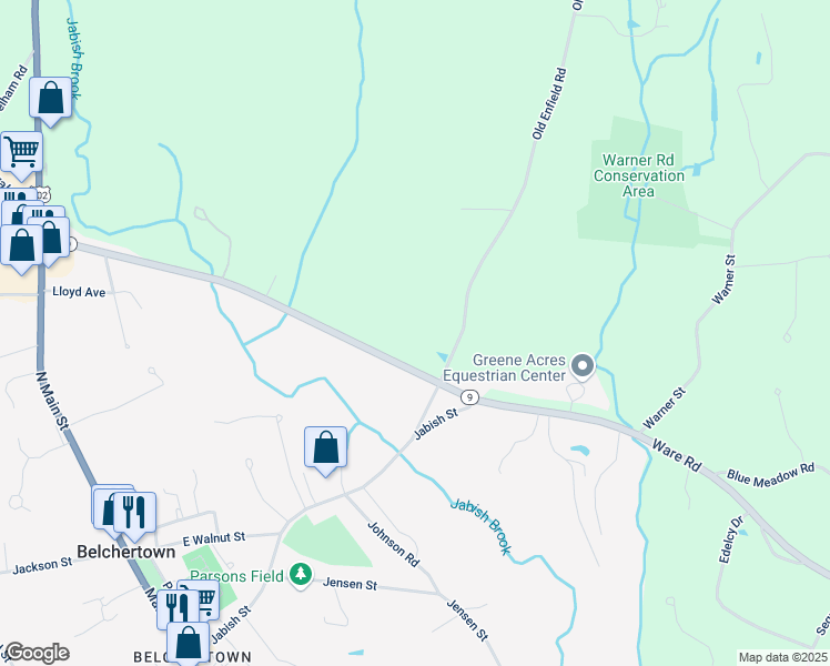 map of restaurants, bars, coffee shops, grocery stores, and more near 173 Sargent Street in Belchertown