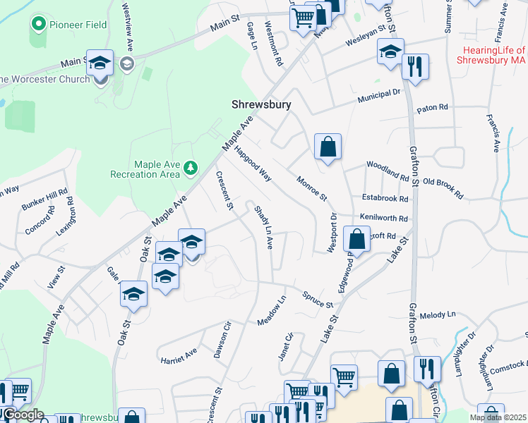 map of restaurants, bars, coffee shops, grocery stores, and more near 46 Shady Lane Avenue in Shrewsbury