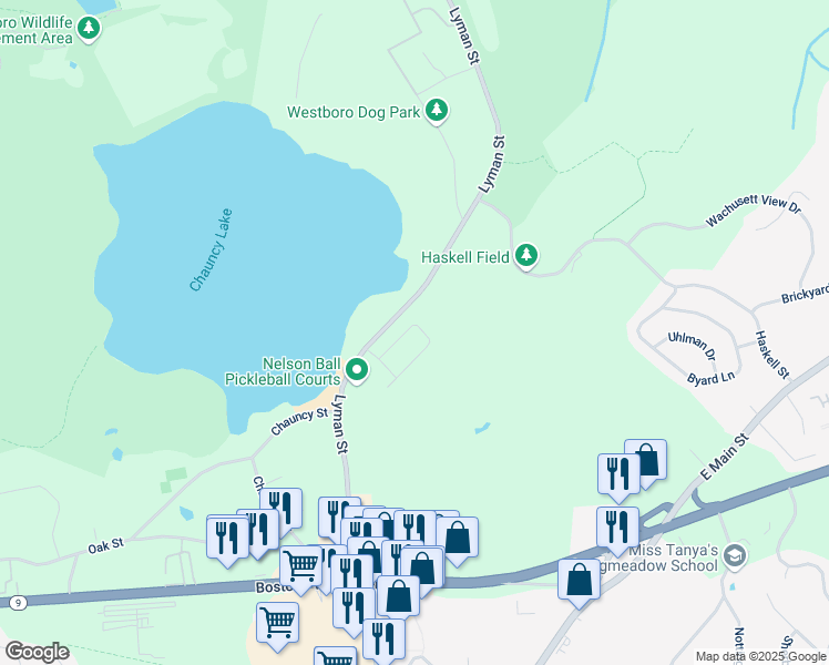 map of restaurants, bars, coffee shops, grocery stores, and more near 14 Baylor Avenue in Westborough