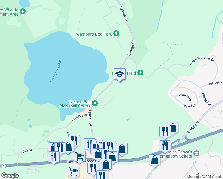 map of restaurants, bars, coffee shops, grocery stores, and more near 14 Baylor Avenue in Westborough