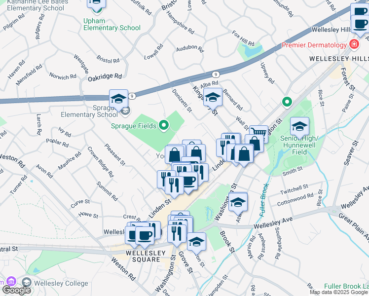 map of restaurants, bars, coffee shops, grocery stores, and more near 9 Highland Road in Wellesley