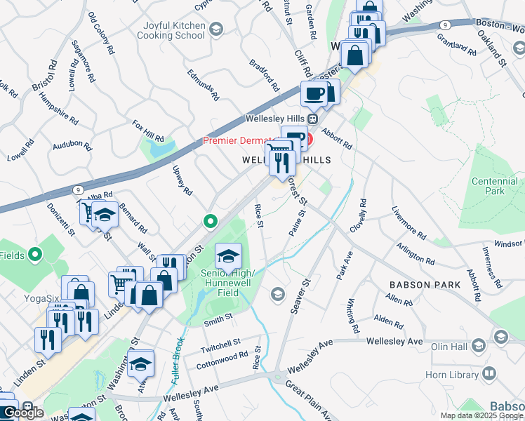 map of restaurants, bars, coffee shops, grocery stores, and more near 16 Rice Street in Wellesley
