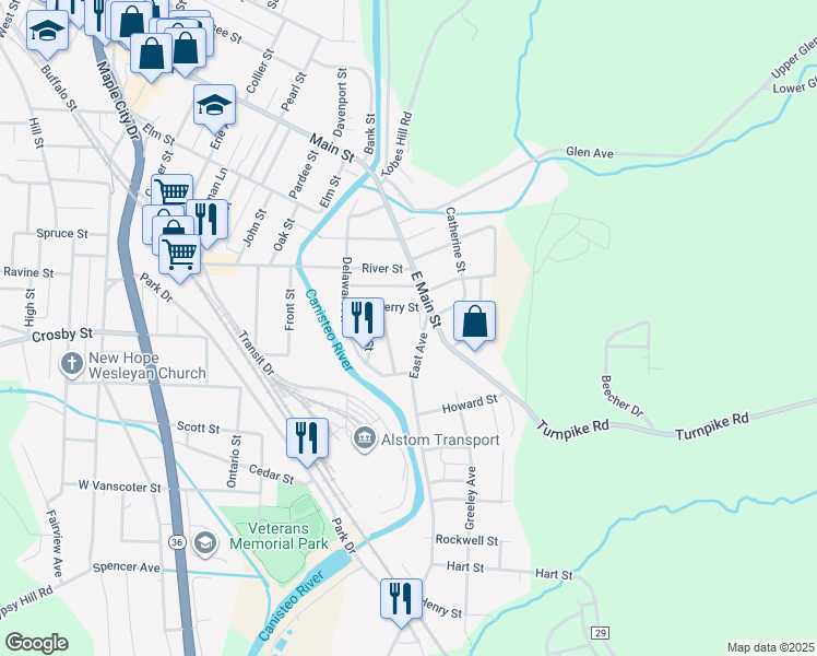 map of restaurants, bars, coffee shops, grocery stores, and more near 161 Terry Street in Hornell