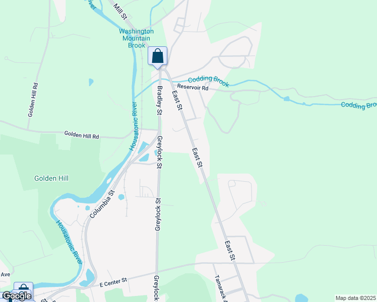 map of restaurants, bars, coffee shops, grocery stores, and more near 699 East Street in Lee