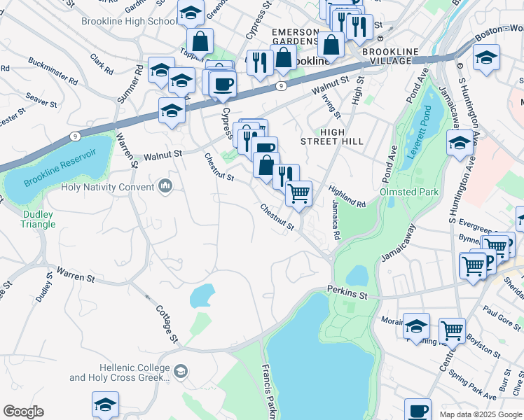 map of restaurants, bars, coffee shops, grocery stores, and more near 110 Chestnut Street in Brookline