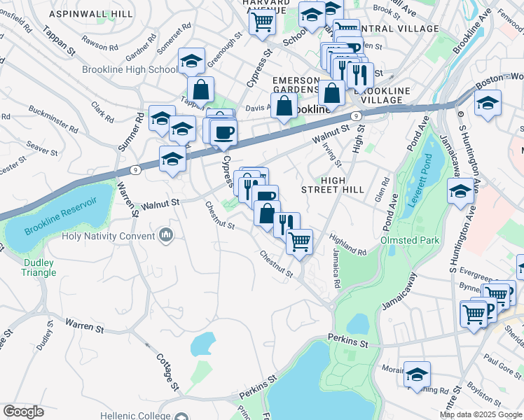 map of restaurants, bars, coffee shops, grocery stores, and more near 236 Cypress Street in Brookline