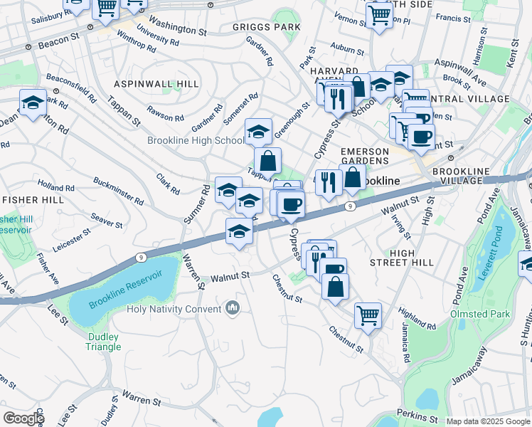 map of restaurants, bars, coffee shops, grocery stores, and more near in Brookline