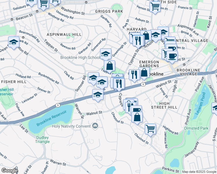 map of restaurants, bars, coffee shops, grocery stores, and more near in Brookline