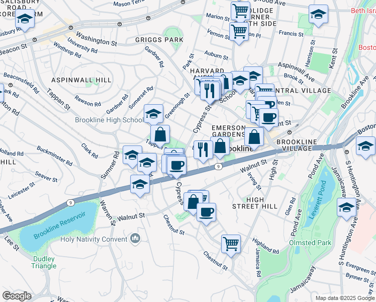 map of restaurants, bars, coffee shops, grocery stores, and more near 102 Cypress Street in Brookline