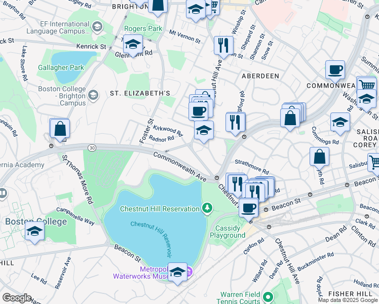 map of restaurants, bars, coffee shops, grocery stores, and more near 217 Chestnut Hill Avenue in Boston