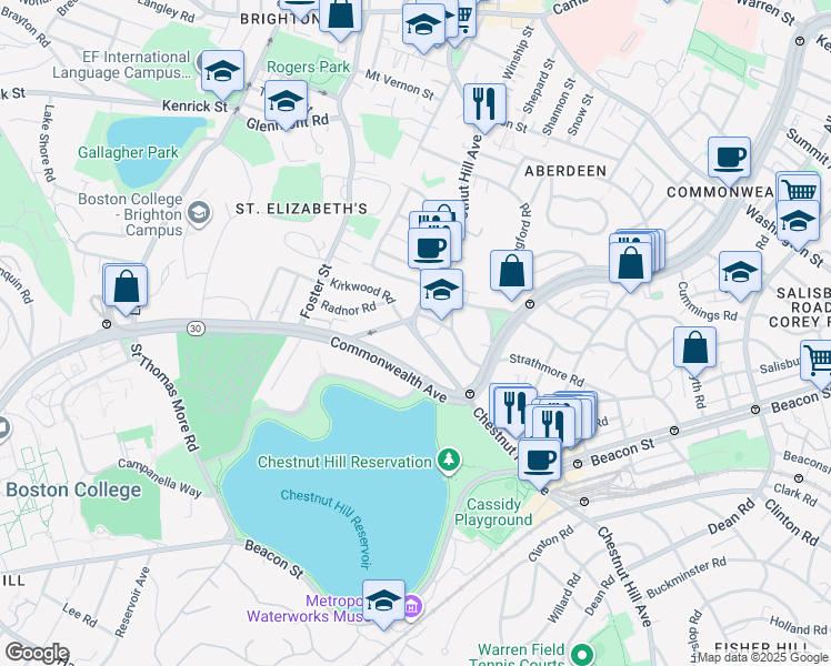 map of restaurants, bars, coffee shops, grocery stores, and more near 217 Chestnut Hill Avenue in Boston