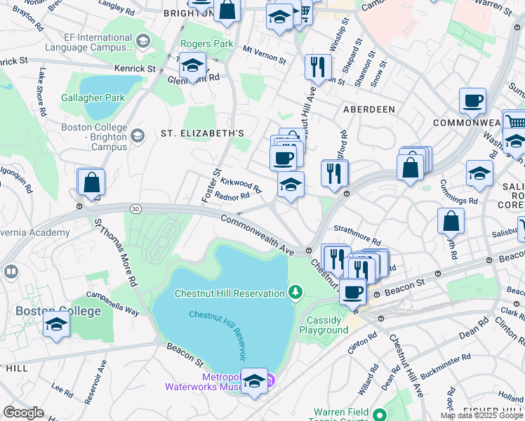 map of restaurants, bars, coffee shops, grocery stores, and more near 217 Chestnut Hill Avenue in Boston