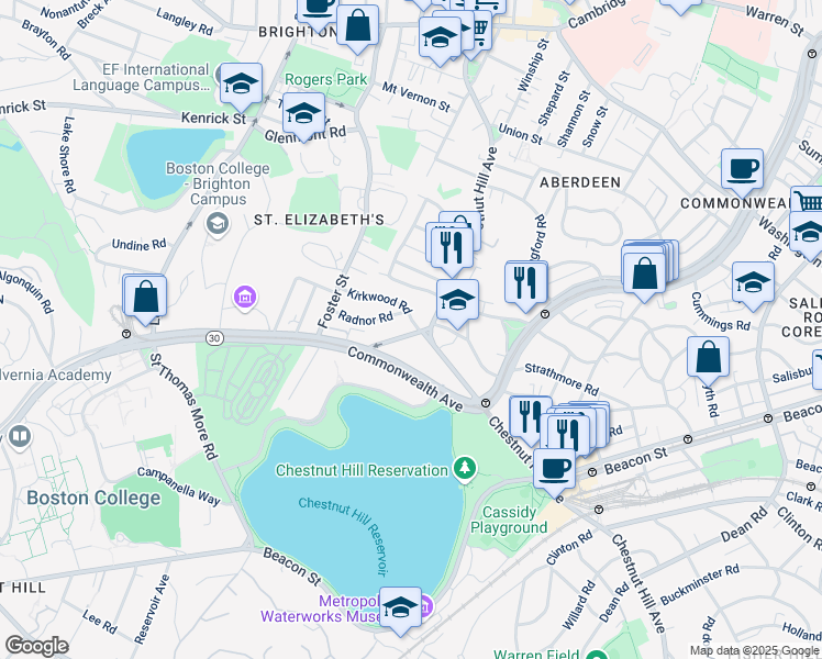 map of restaurants, bars, coffee shops, grocery stores, and more near 217 Chestnut Hill Avenue in Boston