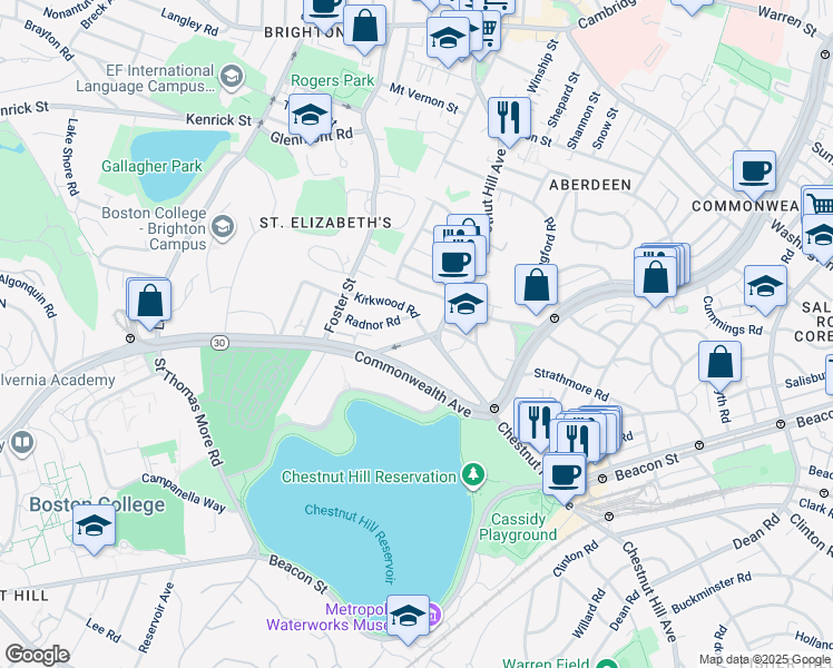 map of restaurants, bars, coffee shops, grocery stores, and more near 217 Chestnut Hill Avenue in Boston