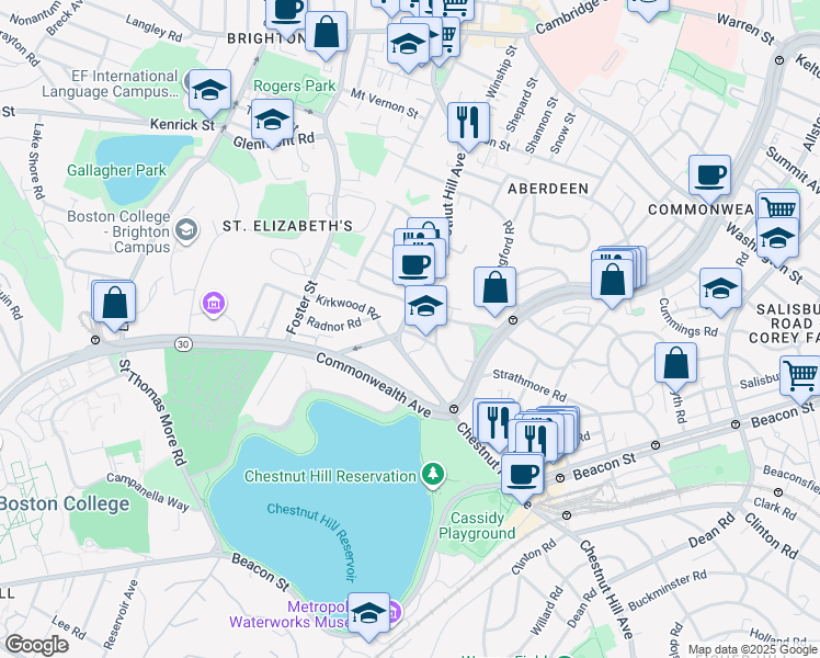 map of restaurants, bars, coffee shops, grocery stores, and more near 217 Chestnut Hill Avenue in Boston