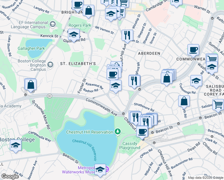 map of restaurants, bars, coffee shops, grocery stores, and more near 217 Chestnut Hill Avenue in Boston
