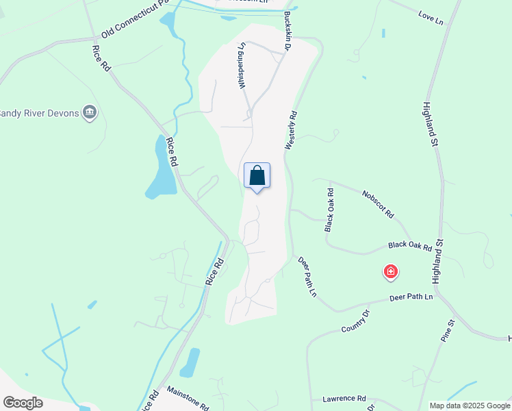 map of restaurants, bars, coffee shops, grocery stores, and more near 1 Astra in Wayland