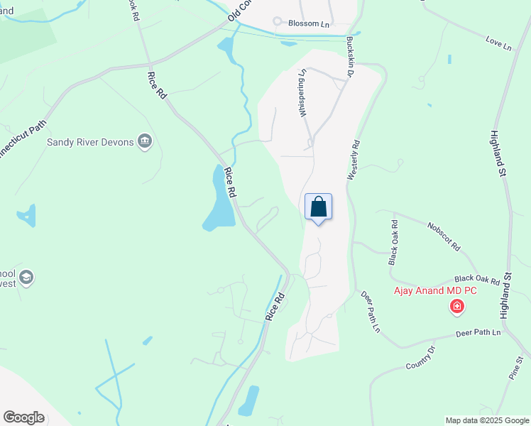 map of restaurants, bars, coffee shops, grocery stores, and more near 193 Rice Road in Wayland