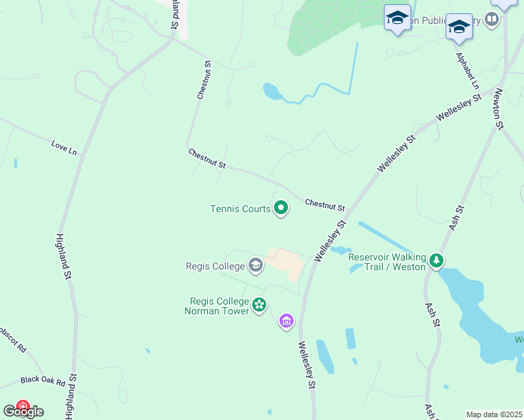 map of restaurants, bars, coffee shops, grocery stores, and more near 36 Chestnut Street in Weston