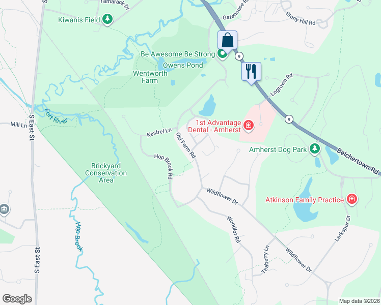 map of restaurants, bars, coffee shops, grocery stores, and more near Old Farm Rd & Pine Grove in Amherst