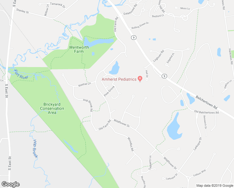 map of restaurants, bars, coffee shops, grocery stores, and more near 21 Pine Grove in Amherst