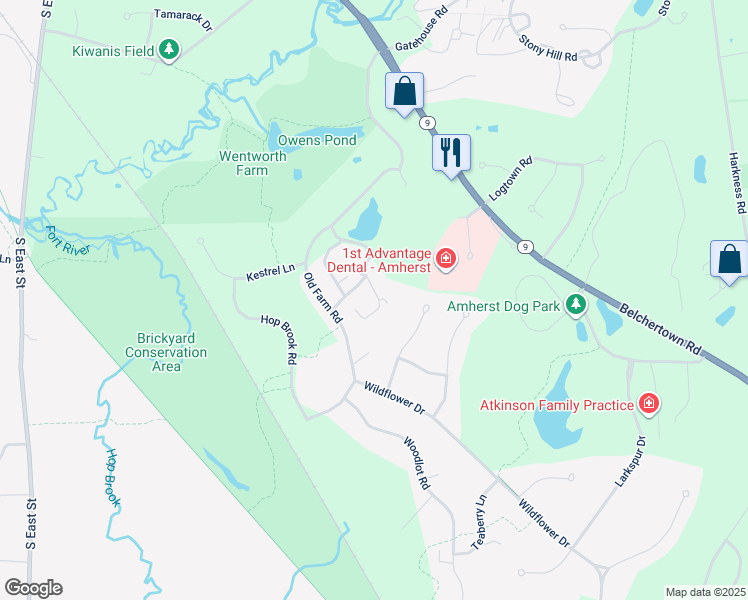 map of restaurants, bars, coffee shops, grocery stores, and more near 21 Pine Grove in Amherst