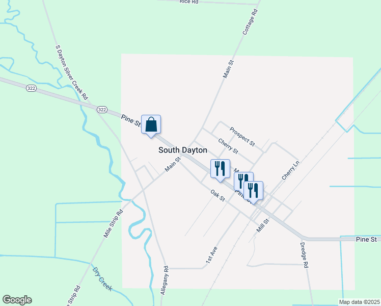 424 Pine Street, South Dayton NY Walk Score