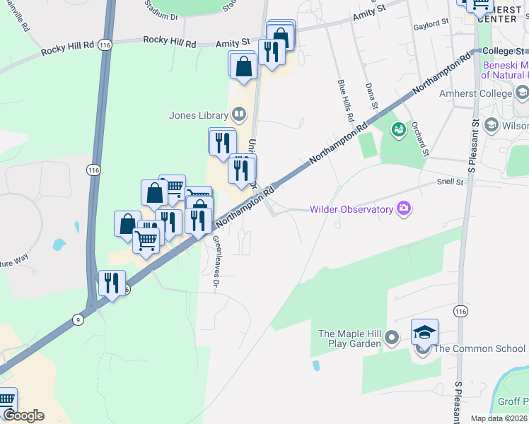 map of restaurants, bars, coffee shops, grocery stores, and more near 260 Snell Street in Amherst
