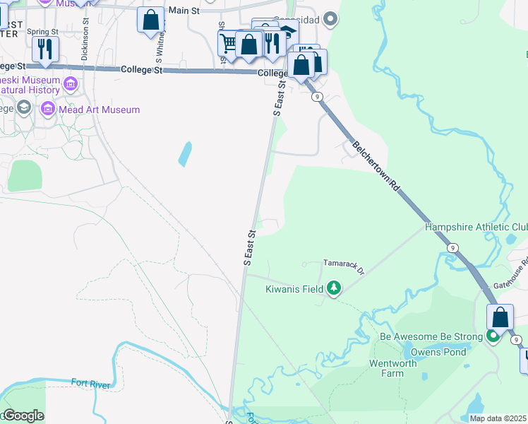 map of restaurants, bars, coffee shops, grocery stores, and more near 320 South East Street in Amherst