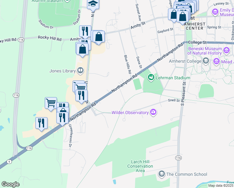map of restaurants, bars, coffee shops, grocery stores, and more near 260 Northampton Rd in Amherst