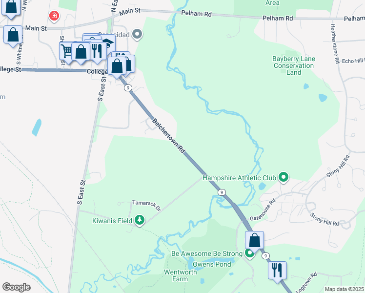 204 Belchertown Road, Amherst MA Walk Score