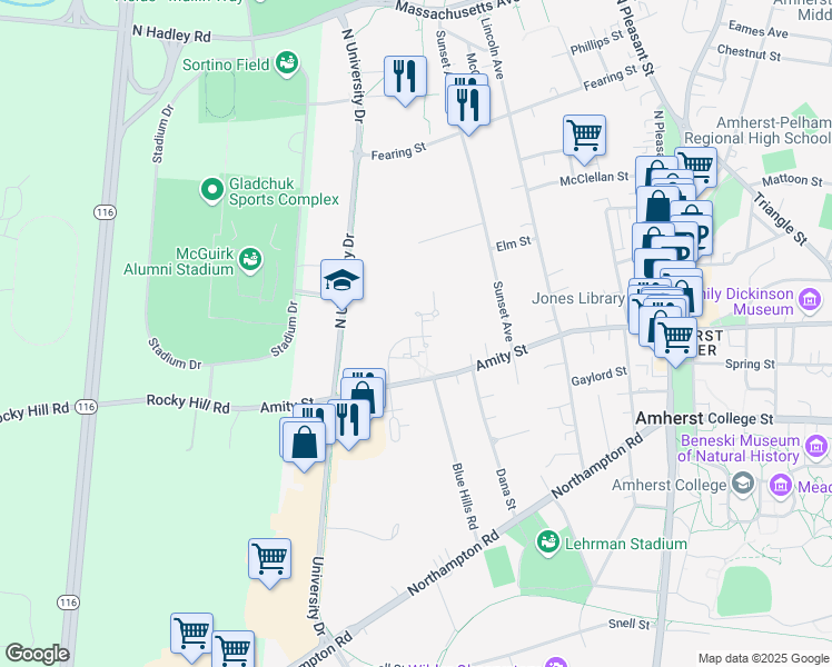 map of restaurants, bars, coffee shops, grocery stores, and more near 64 Amity Place in Amherst