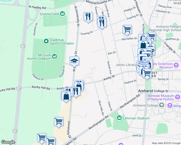 map of restaurants, bars, coffee shops, grocery stores, and more near 74 Amity Place in Amherst