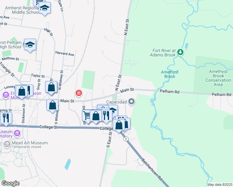 map of restaurants, bars, coffee shops, grocery stores, and more near S East St & Main St in Amherst