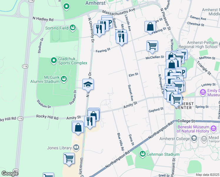 map of restaurants, bars, coffee shops, grocery stores, and more near 64 Amity Place in Amherst