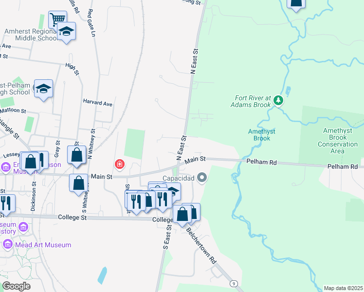 map of restaurants, bars, coffee shops, grocery stores, and more near 45 North East Street in Amherst