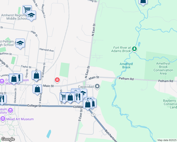 map of restaurants, bars, coffee shops, grocery stores, and more near 45 N East St in Amherst