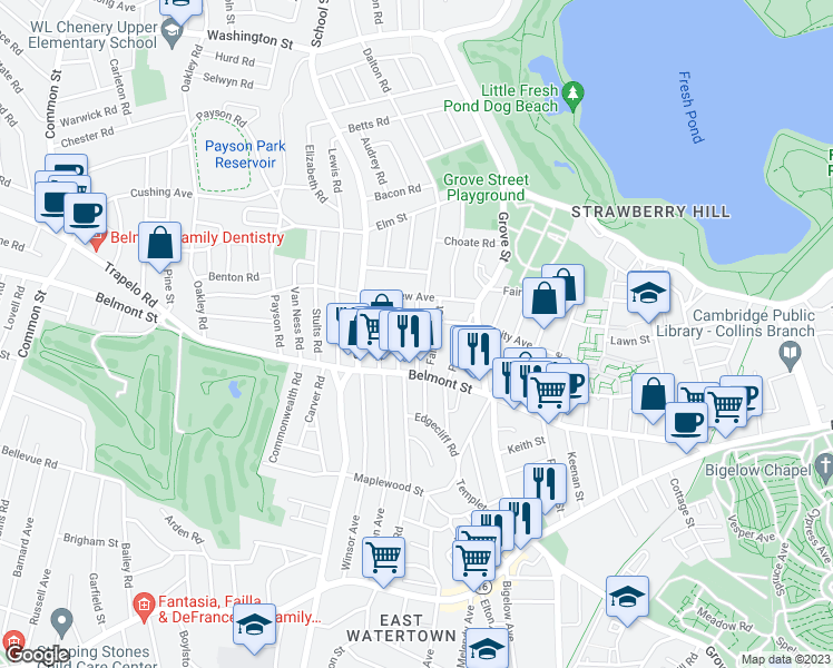 map of restaurants, bars, coffee shops, grocery stores, and more near Springfield Street in Belmont