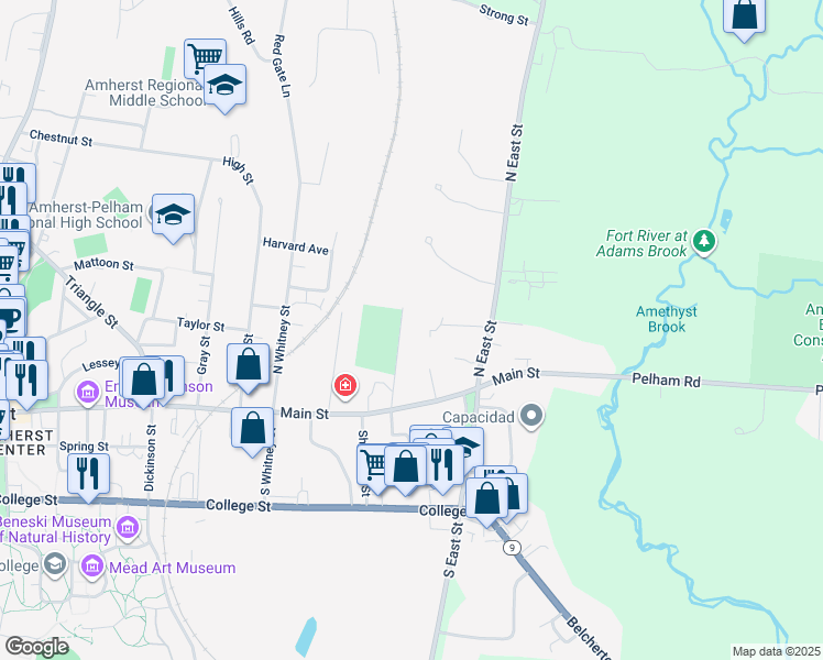 map of restaurants, bars, coffee shops, grocery stores, and more near 63 Salem Pl in Amherst