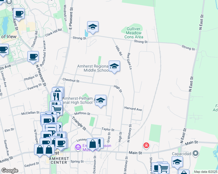 map of restaurants, bars, coffee shops, grocery stores, and more near 161 Chestnut Street in Amherst