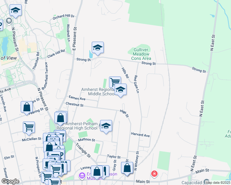 map of restaurants, bars, coffee shops, grocery stores, and more near 170 Chestnut Street in Amherst