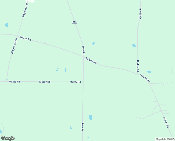 map of restaurants, bars, coffee shops, grocery stores, and more near 293 Nelson Rd in Ithaca