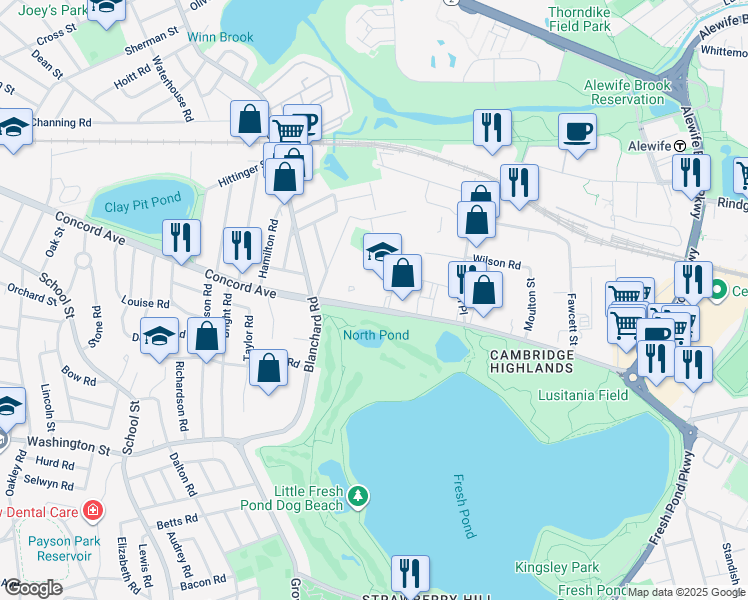 map of restaurants, bars, coffee shops, grocery stores, and more near 44 Spinelli Place in Cambridge