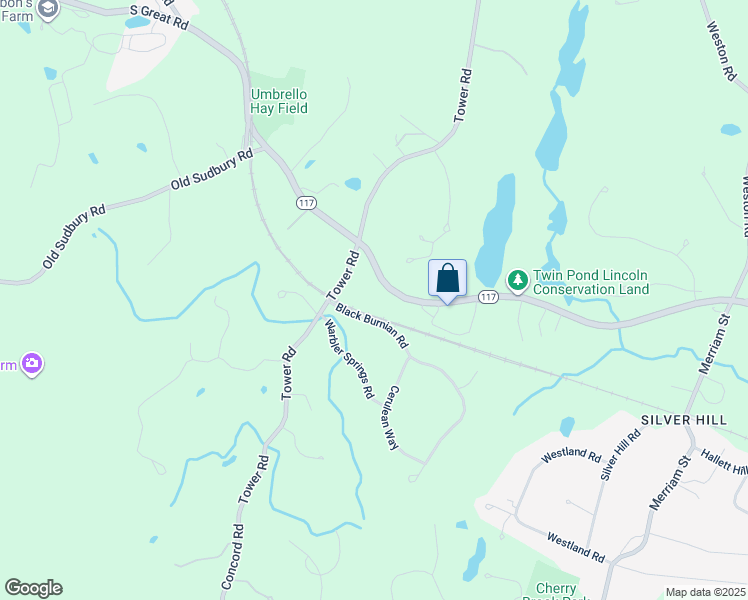 map of restaurants, bars, coffee shops, grocery stores, and more near 319 South Great Road in Lincoln