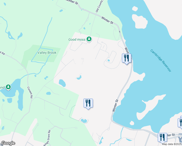 map of restaurants, bars, coffee shops, grocery stores, and more near 890 Winter Street in Waltham