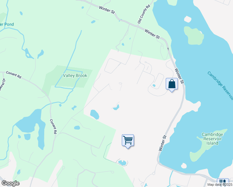 map of restaurants, bars, coffee shops, grocery stores, and more near 880 Winter Street in Waltham