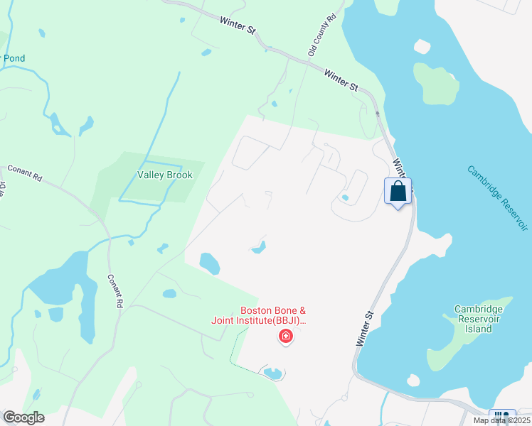 map of restaurants, bars, coffee shops, grocery stores, and more near 880 Winter St in Waltham