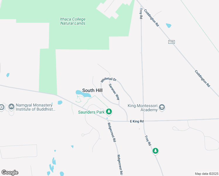map of restaurants, bars, coffee shops, grocery stores, and more near 330 Saranac Way in Ithaca