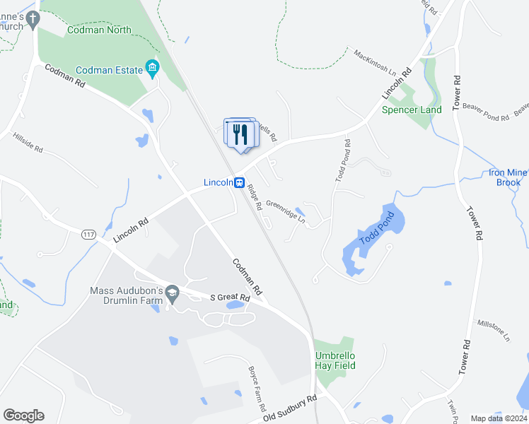 map of restaurants, bars, coffee shops, grocery stores, and more near 19 Ridge Road in Lincoln